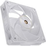 ASUS ProArt PF120, Gehäuselüfter weiß, 3er Pack, 120 mm