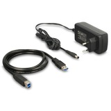 DeLOCK Dual Dockingstation für 2 x SATA HDD / SSD mit Klon Funktion