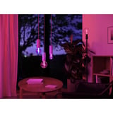Philips HUE White & Color Ambiance Lightguide G95 Globe - Smarte Lampe E27, LED-Lampe 