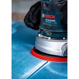 Bosch Professional Expert C470 Schleifblatt, Ø 150mm, K40 Multilochung 50 Stück, für Exzenterschleifer