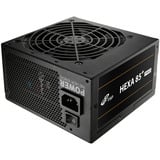 FSP HEXA 85+ PRO 450W, PC-Netzteil schwarz, 2x PCIe, 450 Watt