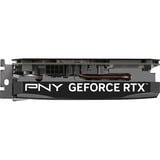 PNY GeForce RTX 5050 Single Fan, Grafikkarte DLSS 4, 3x DisplayPort, 1x HDMI 2.1