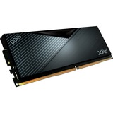 ADATA DIMM 8 GB DDR5-5200  , Arbeitsspeicher schwarz, AX5U5200C388G-CLABK, INTEL XMP