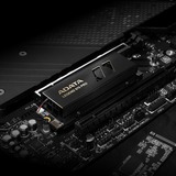 ADATA LEGEND 970 Pro 1 TB, SSD schwarz/gold, PCIe 5.0 x4, NVMe 2.0, M.2 2280