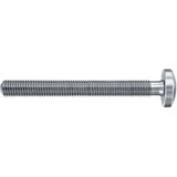 fischer Hohlraumdübel DuoHM 5x55 S TX  4 Stück, mit Panhead-Schraube