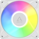 ARCTIC BioniX P12 A-RGB, Gehäuselüfter weiß/weiß, 120 mm