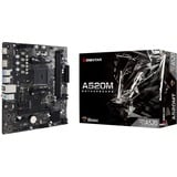 Biostar A520MT, Mainboard schwarz