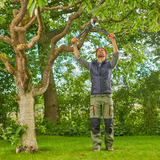 GARDENA Astschere EnergyCut Pro S grau/türkis, 60cm