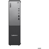Lenovo ThinkCentre neo 55s Gen 6 (13G0004EGE), PC-System schwarz, Windows 11 Pro