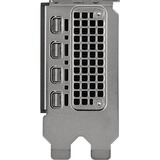 PNY NVIDIA RTX 4000 SFF Ada Generation 20GB SB, Grafikkarte 4x miniDisplayPort, Retail