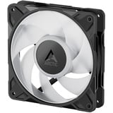 ARCTIC P12 Pro A-RGB, Gehäuselüfter schwarz, 3er Pack, 120 mm