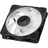 ARCTIC P12 Pro A-RGB, Gehäuselüfter schwarz, 3er Pack, 120 mm