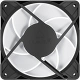 ARCTIC P12 Pro A-RGB, Gehäuselüfter schwarz, 3er Pack, 120 mm
