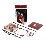 Noctua NF-A12x25 LS-PWM 120x120x25, Gehäuselüfter 