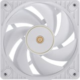 ASUS ProArt PF120, Gehäuselüfter weiß, 120 mm