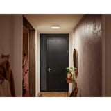 Philips HUE White Ambiance Enrave Deckenleuchte S, LED-Leuchte weiß, inkl. Dimmschalter