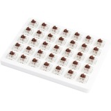 Keychron Gateron Cap Brown Switch-Set, Tastenschalter braun/transparent