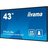 iiyama ProLite LH4360UHS-B1AG, Public Display schwarz, UltraHD/4K, IPS, Lautsprecher