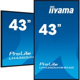 iiyama ProLite LH4360UHS-B1AG, Public Display schwarz (matt), UltraHD/4K, VA, Lautsprecher