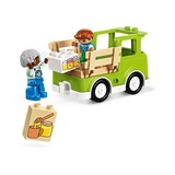 LEGO 10419 DUPLO Imkerei und Bienenstöcke, Konstruktionsspielzeug 