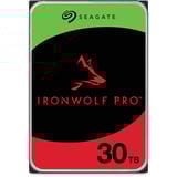 Seagate IronWolf Pro 30 TB, Festplatte SATA 6 Gb/s, 3,5"
