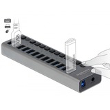 DeLOCK Externer SuperSpeed USB Hub mit 13 Ports + Schalter, USB-Hub 