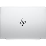 HP EliteBook 8 G1a (AD3E7ET), Notebook silber, AMD Ryzen 5 230, AMD Radeon 760M, 16 GB DDR5, 512 GB (512 GB SSD), Windows 11 Pro