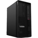 Lenovo ThinkStation P2 Tower Gen 2 (30JQ008KGE), PC-System schwarz, Windows 11 Pro