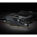 ADATA DIMM 16 GB DDR5-6000 (1x 16 GB), Arbeitsspeicher schwarz, AX5U6000C4816G-SLABBK, XPG Lancer Blade, INTEL XMP, AMD EXPO
