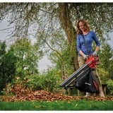 EINHELL Power X-Change Akku-Laubsauger VENTURRO 18/210, 18Volt, Laubsauger/Laubbläser rot/schwarz, ohne Akku und Ladegerät