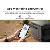 Anker SOLIX EverFrost 2 40L, Kühlbox grau/schwarz