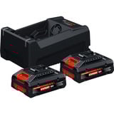 Bosch Starter-Set 2x EXBA 18V-40 + Dual-Voltage-Ladegerät GAL 12V/18V-80 schwarz, 2x Li-Ionen Akku 4Ah, AMPShare Alliance