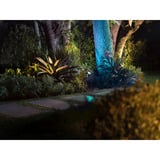 Philips HUE White & Color Ambance Lily XL Outdoor Spot Erweiterung, LED-Leuchte schwarz