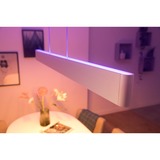 Philips HUE White & Color Ambiance Ensis Pendelleuchte, LED-Leuchte weiß