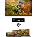Thomson 65QG4S14, QLED-Fernseher 164 cm (65 Zoll), dunkelgrau, UltraHD/4K, Google TV, Triple-Tuner, HDR