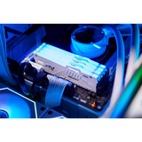 Kingston FURY DIMM 16 GB DDR5-5600  , Arbeitsspeicher weiß, KF556C36BWEA-16, Renegade RGB, AMD EXPO
