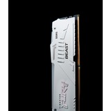 Kingston FURY DIMM 32 GB DDR5-5200 (2x 16 GB) Dual-Kit, Arbeitsspeicher weiß, KF552C40BWAK2-32, FURY Beast RGB, INTEL XMP