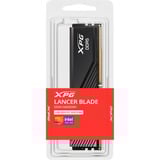 ADATA DIMM 16 GB DDR5-6000 , Arbeitsspeicher schwarz, AX5U6000C3016G-SLABBK, XPG Lancer Blade, INTEL XMP, AMD EXPO