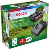 Bosch Starter-Set 36V (GBA 36V 2.0Ah + AL 36V-20) schwarz, 36V POWER FOR ALL, Akku + Ladegerät