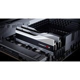 G.Skill DIMM 32 GB DDR5-6000 (2x 16 GB) Dual-Kit, Arbeitsspeicher silber, F5-6000J3040F16GX2-TZ5S, Trident Z5, INTEL XMP