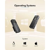 ICY BOX IB-2911MSCL-CU31, Dockingstation schwarz