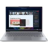 Lenovo ThinkBook 14 (21UX005PGE), Notebook grau, Intel® Core™ Ultra 5 325, Intel® Graphics, 32 GB DDR5, 512 GB (512 GB SSD), Windows 11 Pro