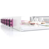 Digitus LWL-Spleißbox, bestückt, 6x SC DX, OM4 
