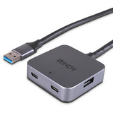 Lindy 4 Port USB 3.0 Hub, USB-Hub grau/schwarz, 5m