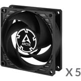 ARCTIC P8 PWM PST, Gehäuselüfter schwarz, 5er Pack, 80 mm