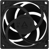 ARCTIC P8 PWM PST, Gehäuselüfter schwarz, 5er Pack, 80 mm