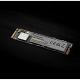 Intenso Premium 1 TB, SSD PCIe 3.0 x4, NVMe 1.3, M.2 2280