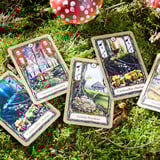 Pegasus Fungi, Kartenspiel 