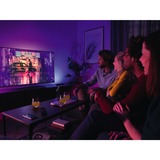 Philips HUE White & Color Ambiance Play Lightbar, LED-Leuchte schwarz, Doppelpack