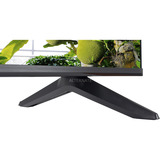 TCL 75T69C, QLED-Fernseher 189.3 cm (75 Zoll), schwarz, UltraHD/4K, Triple Tuner, Google TV
